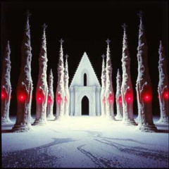 Cocaine Cathedral