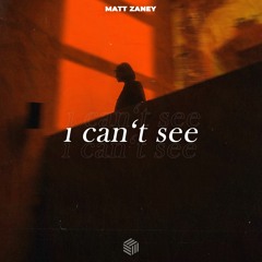 Matt Zaney - I Can't See