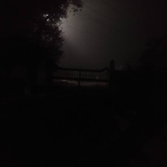 Sleepy Night