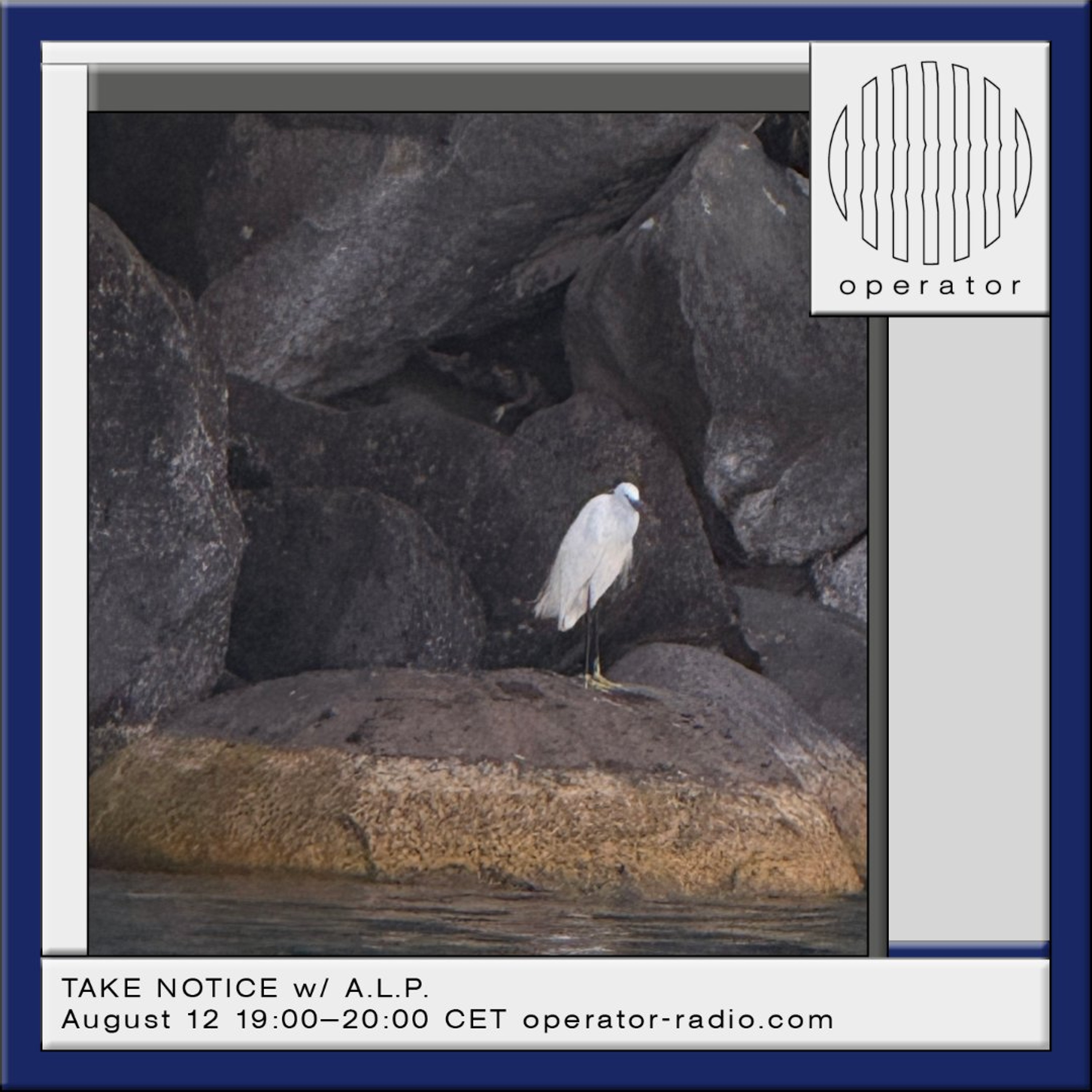 TAKE NOTICE w/ A.L.P. - 12th August 2026 episode artwork
