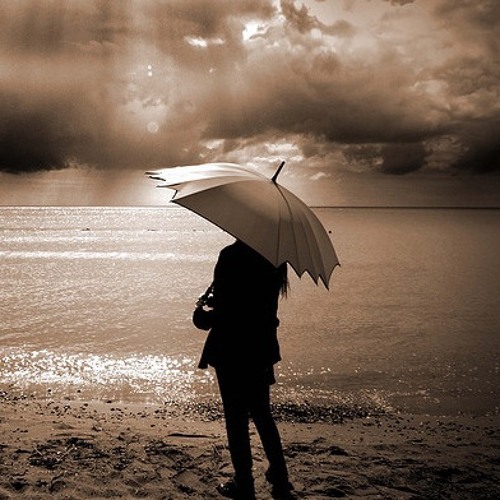 Solace Before The Storm