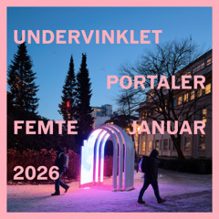 undervinklet - 05012026 (portaler)