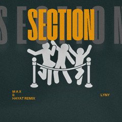 Section (M A X & HayaT Remix)