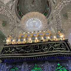 ‎هيبة بلد | الرادود محمد بوجبارة | شهادة السيد محمد سبع الدجيل