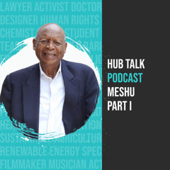 Hub Talk Podcast - Meshu Pt I