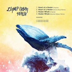 PREMIERE: Zeynep Erbay - Healer Whale (Marshall Watson Remix) [NuNorthernSoul]