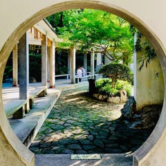 Fuxing Park Mix 复兴公园混音