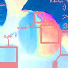 FLY 4W4Y W M3