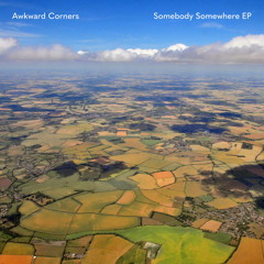 No Words (Hector Plimmer Remix) [feat. Tamar Osborn]