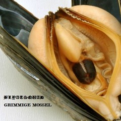 GRIMMIGE MOSSEL (Feat De Mosselman & Gordon Ramsay)Free Download