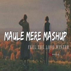 Maule Mere Mashup - Aftermusiq