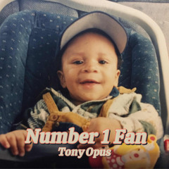 Number 1 Fan