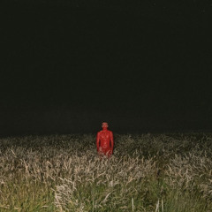 See Me Go! (prod. yosh x evrgrn x lou)