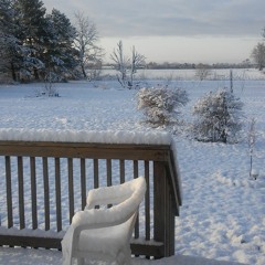 i love you i need you