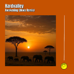 Awakening (Akwa Remix)