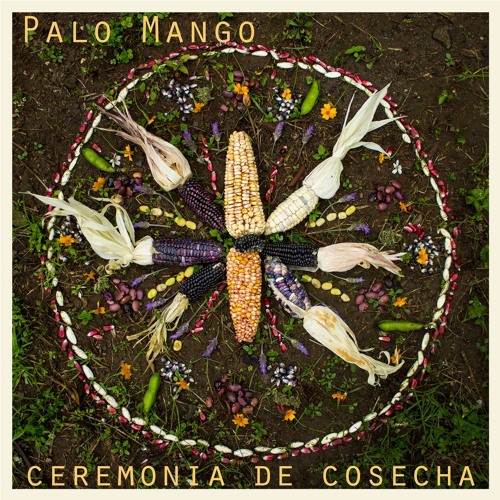 Stream Viajemos by Palo Mango | Listen online for free on SoundCloud