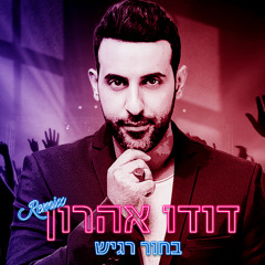 דודו אהרון - בחור רגיש (Moti Kakun Remix)