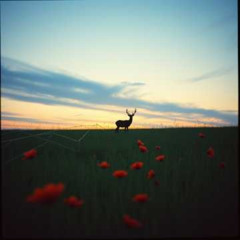 AGE OF THE SMART MACHINE