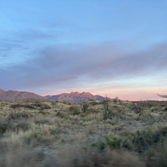 #holding1362me2024back(arizona)