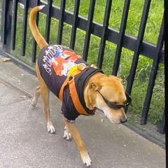 miami bass flips mix