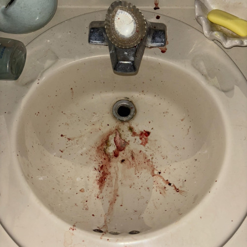 Vengeance.(TheDayIDied)