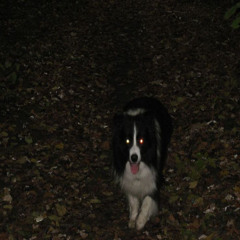 bundle (prod. tenshixgod)