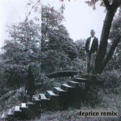 Timber Timbre - Demon Host (deprice Remix)