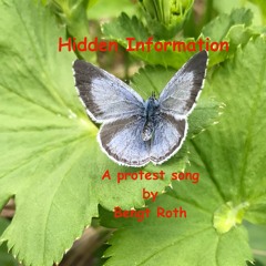 Hidden Information