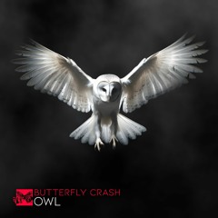 Butterfly Crash - Owl (Patrick Diessner Remix)