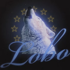 AlbertNbn - Lobo