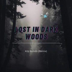 Lost In Dark Woods -Kōji Kondō (Remix)