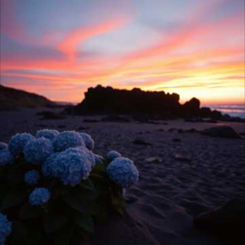 Island of our heart (instrumental) Dolby mastered