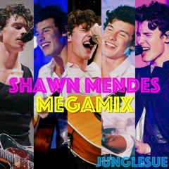 Shawn Mendes Megamix -2020-
