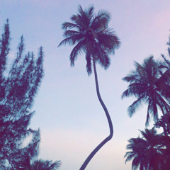 Condado - Sam Jay & Ali Zeven