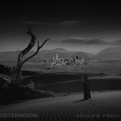 Kindrid - Determinism (notsure remix)