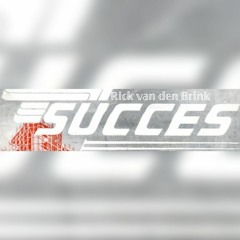 Rick van den Brink - Succes