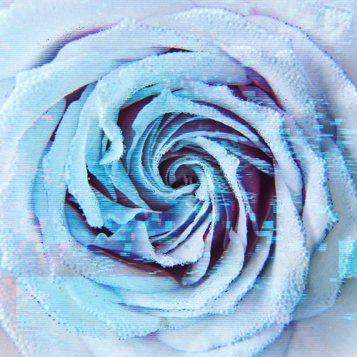 djscreendoor - winter dub