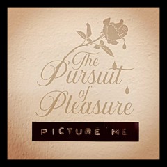 The Pursuit of Pleasure - Picture Me