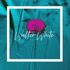 Timeless Tunesmith, Fifty Gram - Walter White