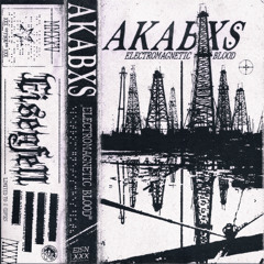 AKABXS - Reforged Reality