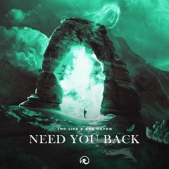 2nd Life X Ben Haydn - Need You Back