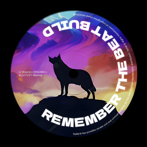 Remember The Beat Build (Lil Wayne x ZINGARA x ALLEYCVT Mashup)