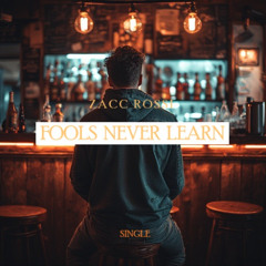Fools Never Learn