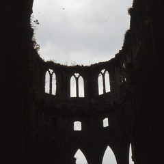 Darkness in the wake of fireworks (naviarhaiku502)