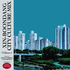 XIN-BOONDANG CITY CULTURE MIX Vol.1