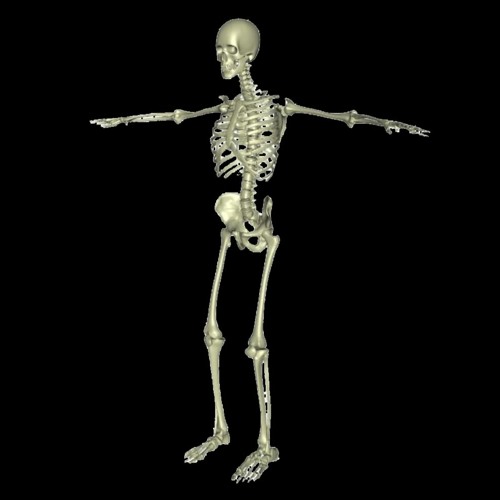 Spooky Month (2020)