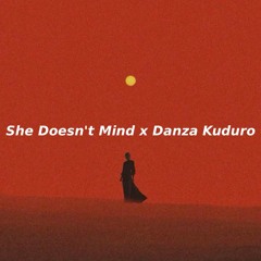 She Doesn't Mind x Danza Kuduro