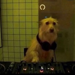 live from my bedroom 4 <3