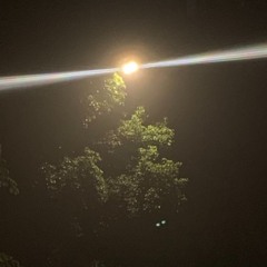 the one path_chapter419