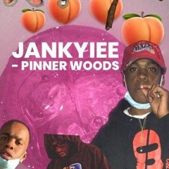Jankyiee - PINNER WOODS (prod. by peezyp)